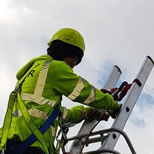 Ladder training