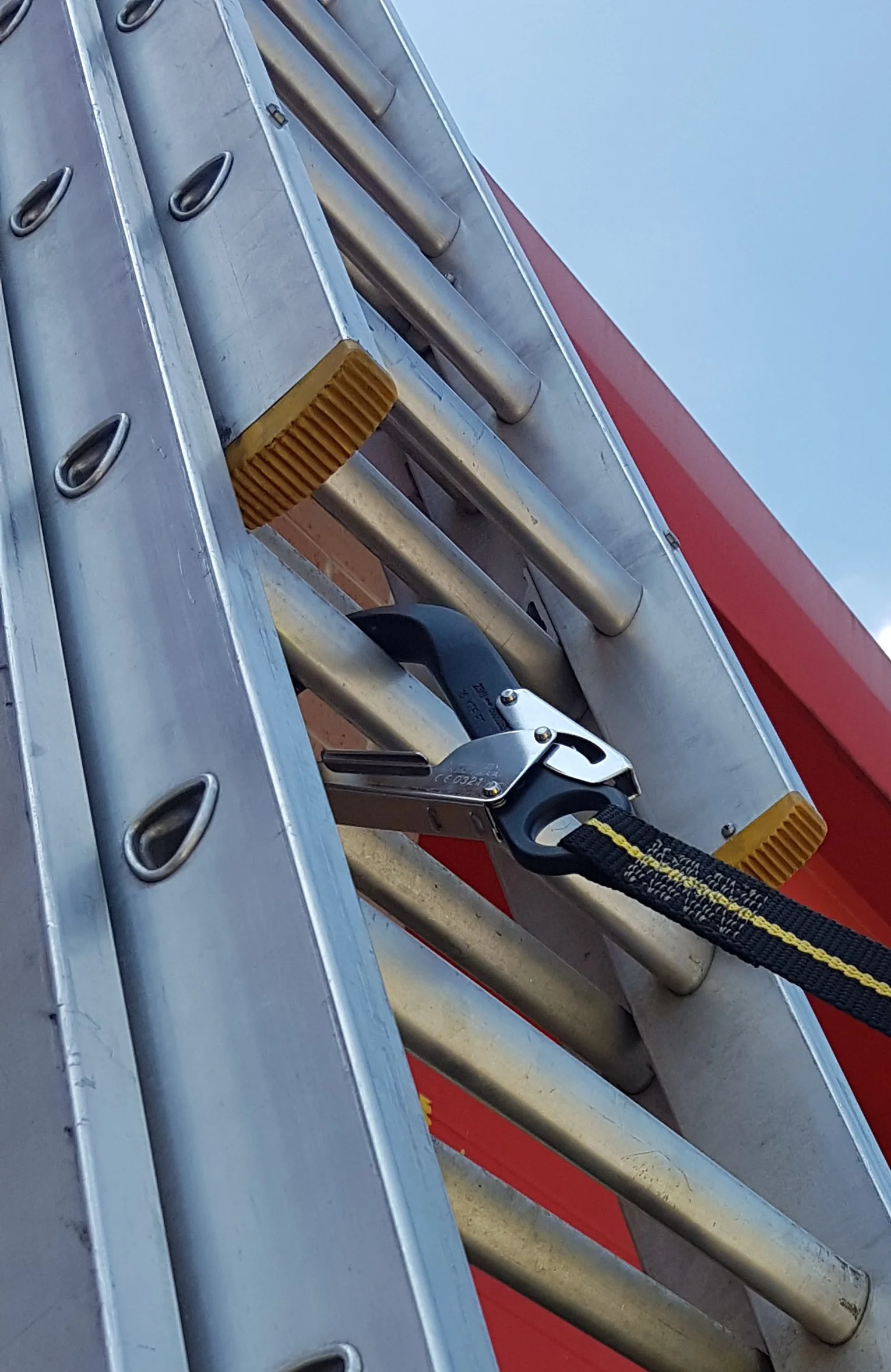 RGL31